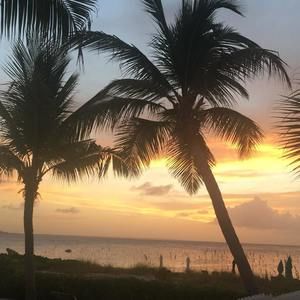 Meet your Posher, Anne-marie